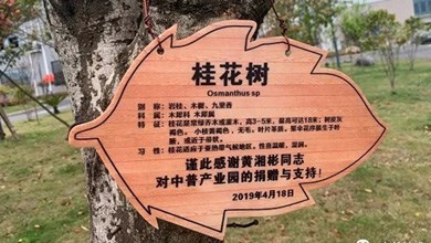 “種”希望！綠化中普，共建美麗家園